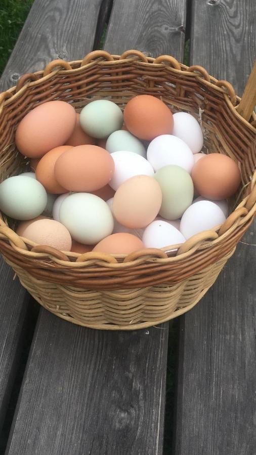 Ferienhof Weber Nieratz Wangen im Allgaeu Luaran gambar