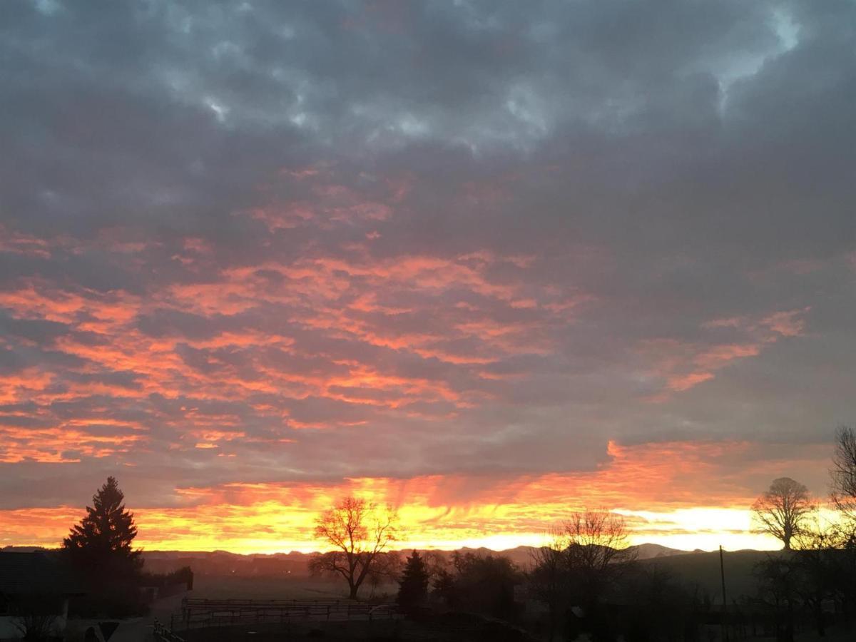 Ferienhof Weber Nieratz Wangen im Allgaeu Luaran gambar