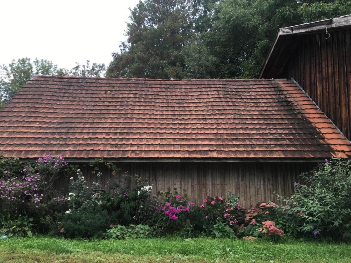 Ferienhof Weber Nieratz Wangen im Allgaeu Luaran gambar