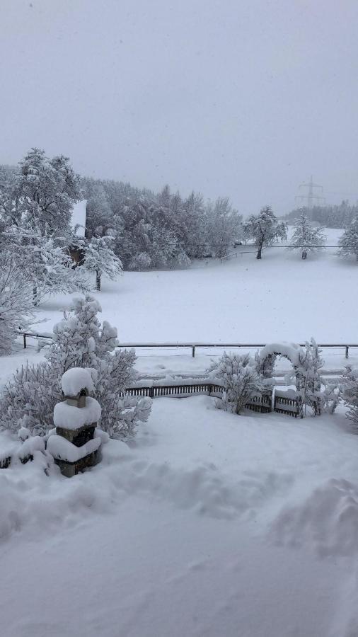 Ferienhof Weber Nieratz Wangen im Allgaeu Luaran gambar