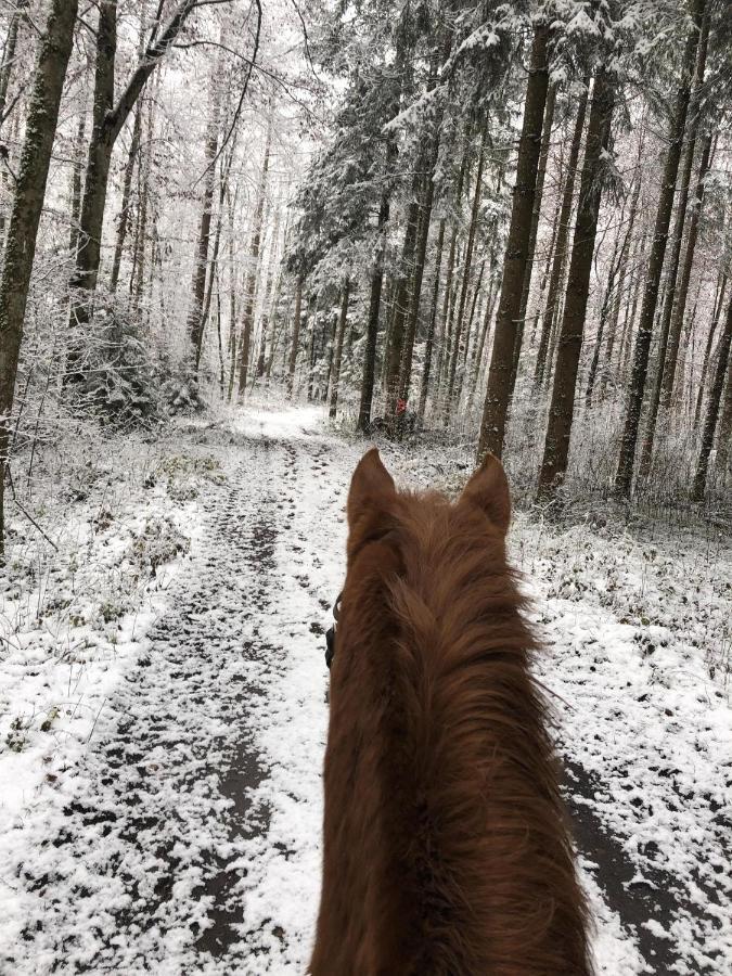Ferienhof Weber Nieratz Wangen im Allgaeu Luaran gambar